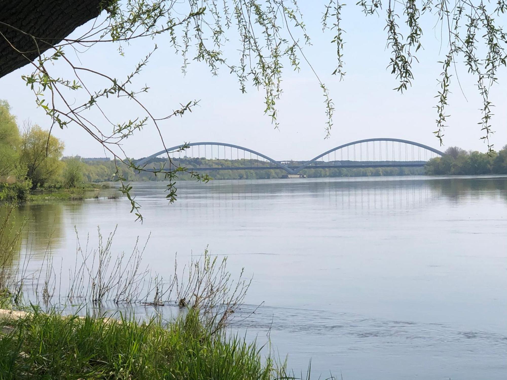 Apartment Kings Torun
